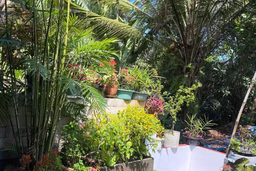 Апартаменты, 1 спальня