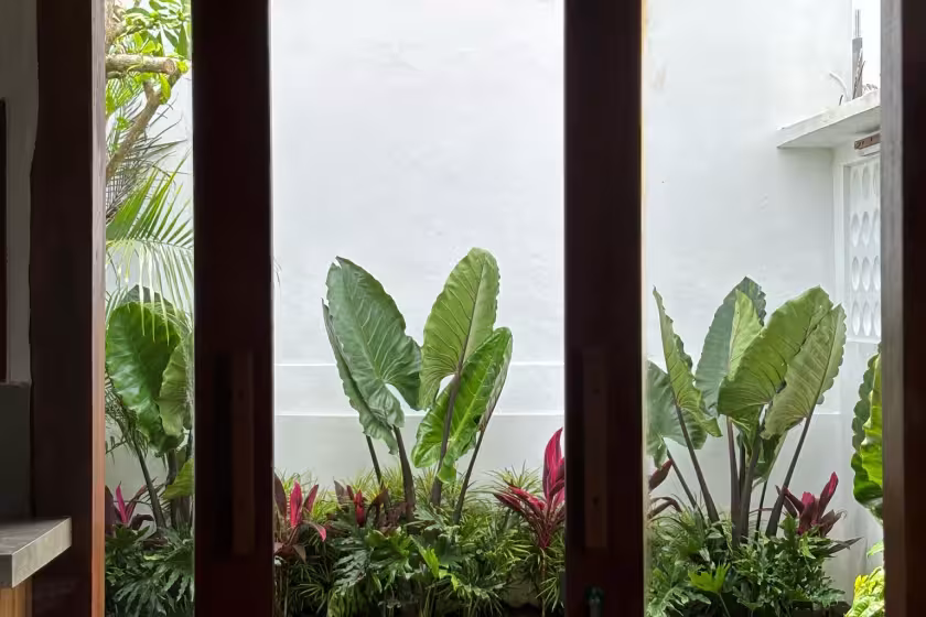 Дом, 1 спальня