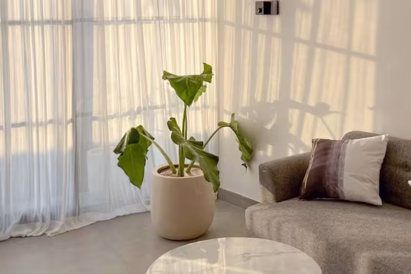 Вилла, 1 спальня