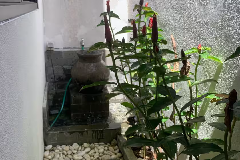 Дом, 1 спальня