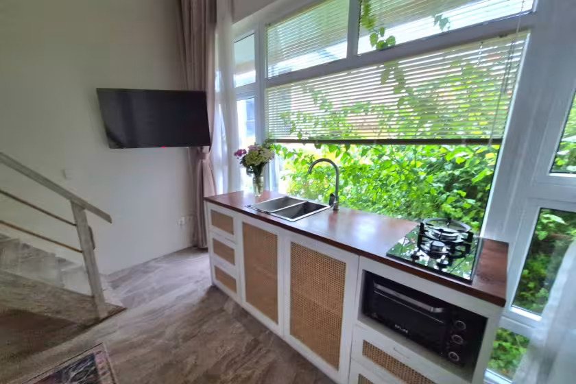 Апартаменты, 1 спальня