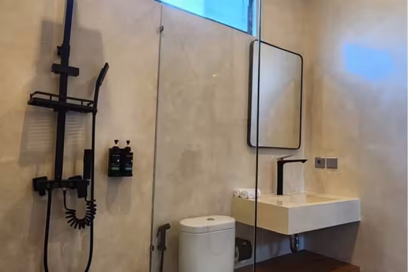 Апартаменты, 1 спальня