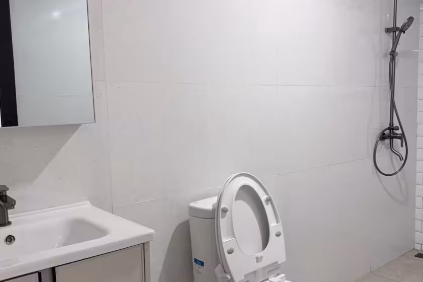 Апартаменты, 1 спальня