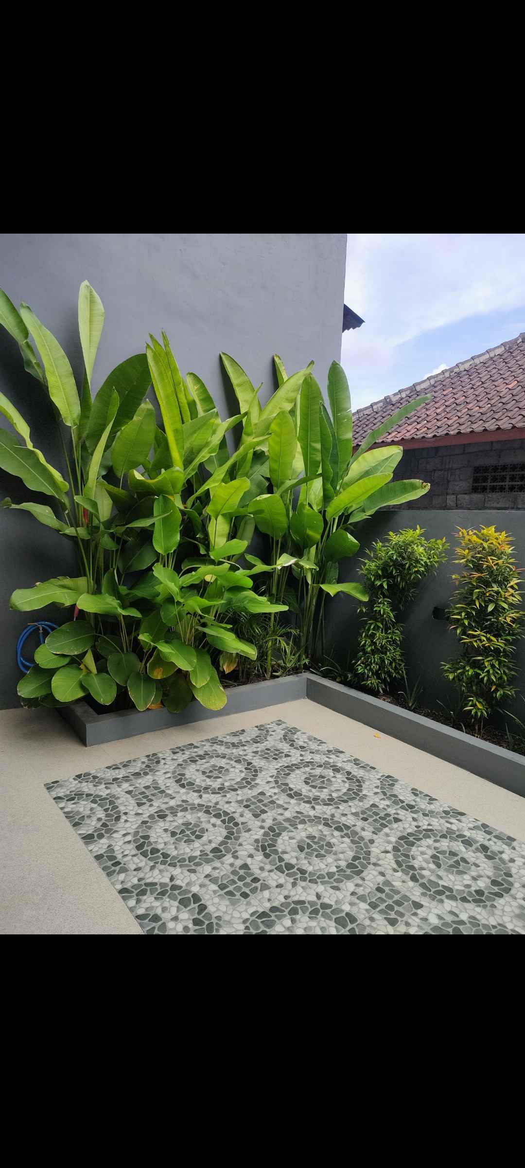 Апартаменты, 1 спальня