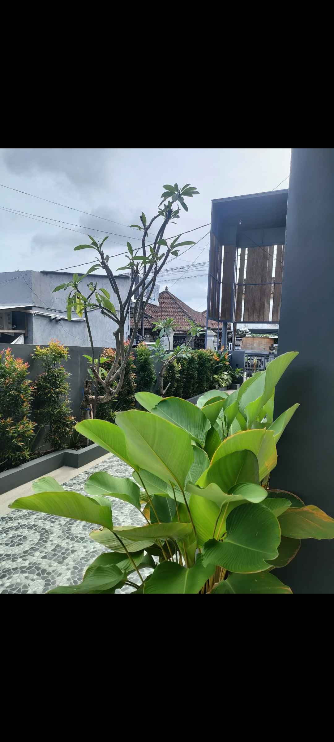 Апартаменты, 1 спальня