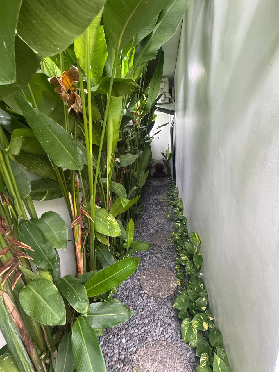 Апартаменты, 1 спальня