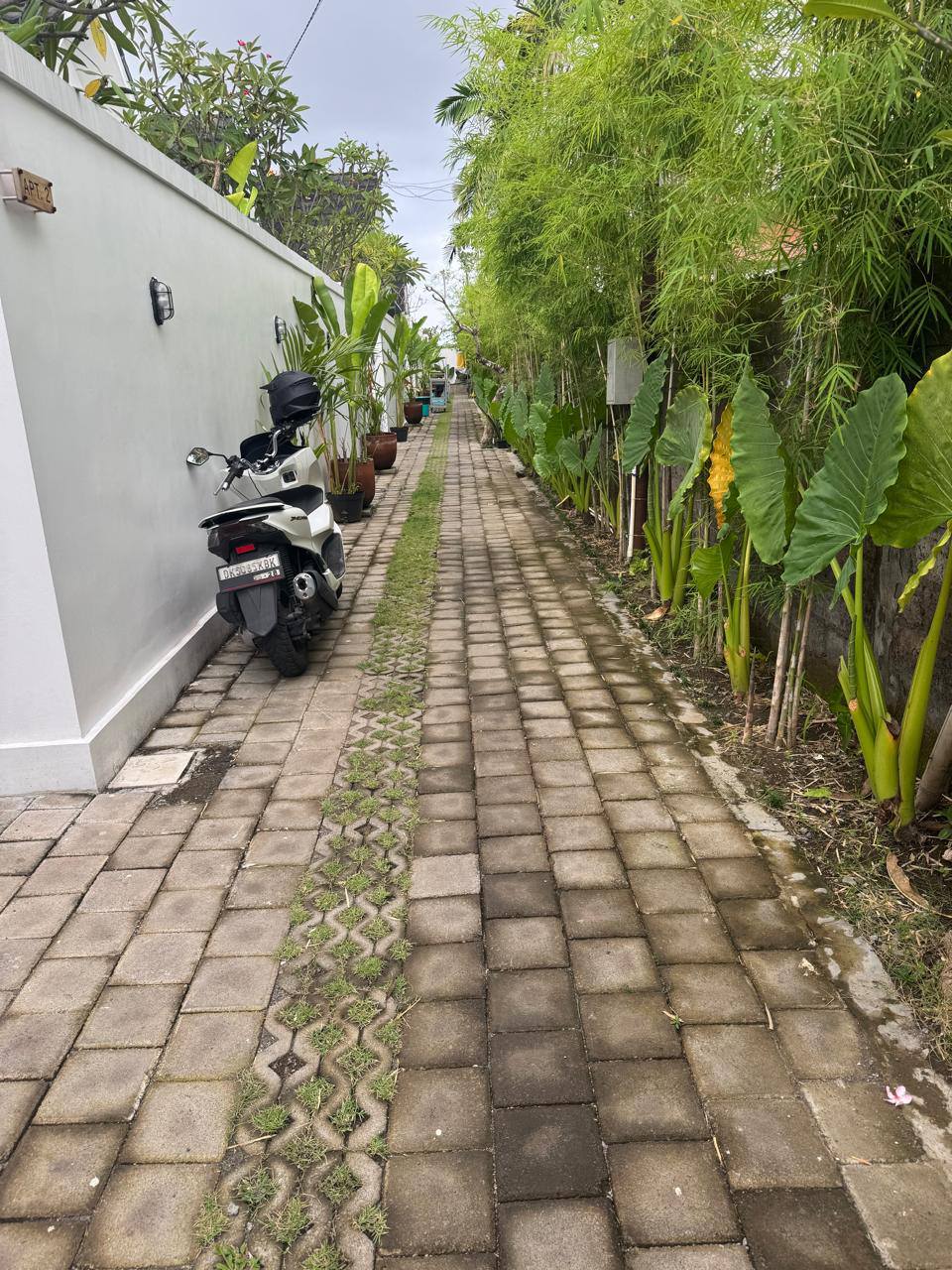 Апартаменты, 1 спальня