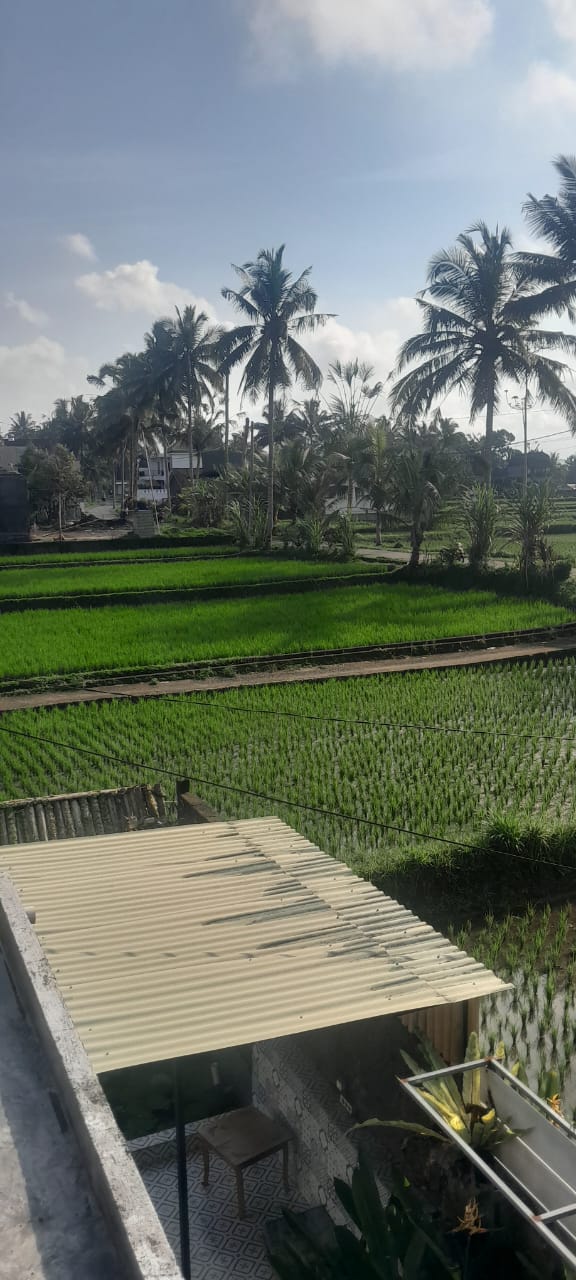 Дом, 2 спальни