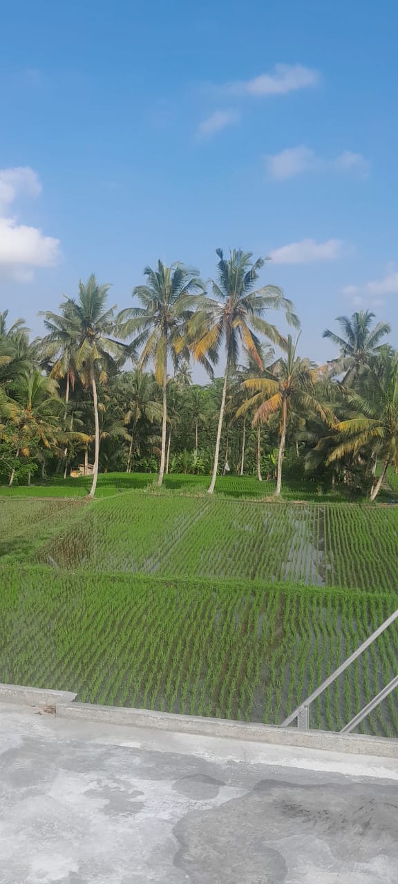 Дом, 2 спальни