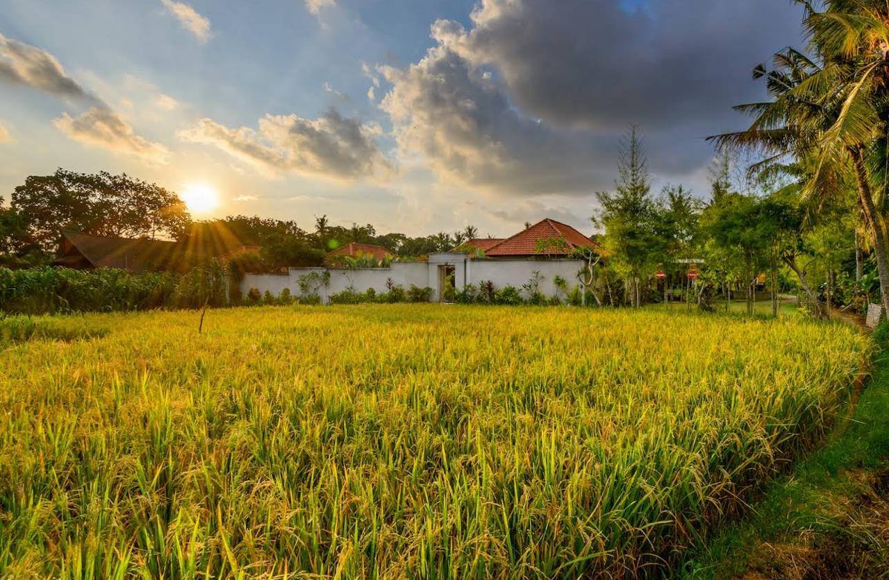 Вилла, 2 спальни