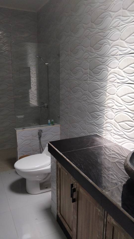 Апартаменты, 1 спальня