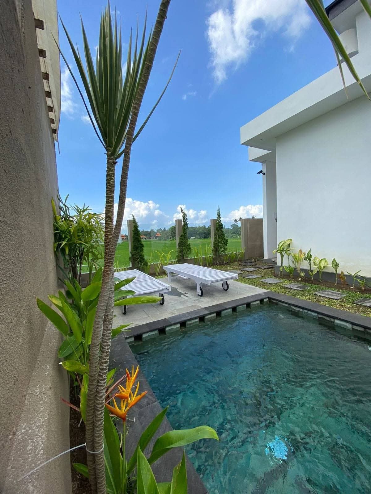 Вилла, 2 спальни