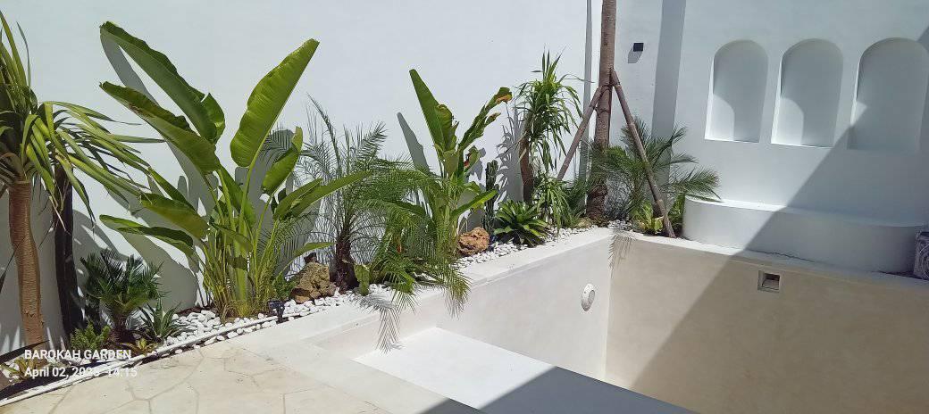 Объявление