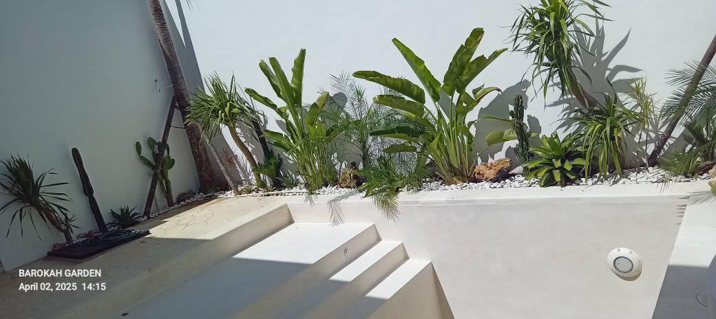 Объявление