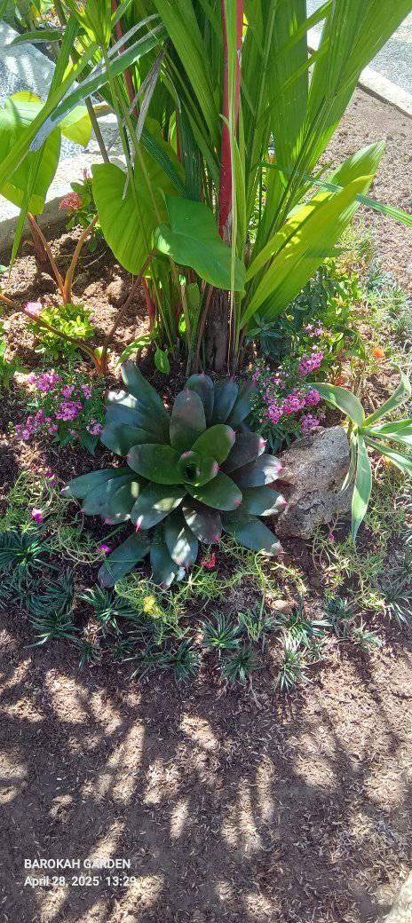 Объявление