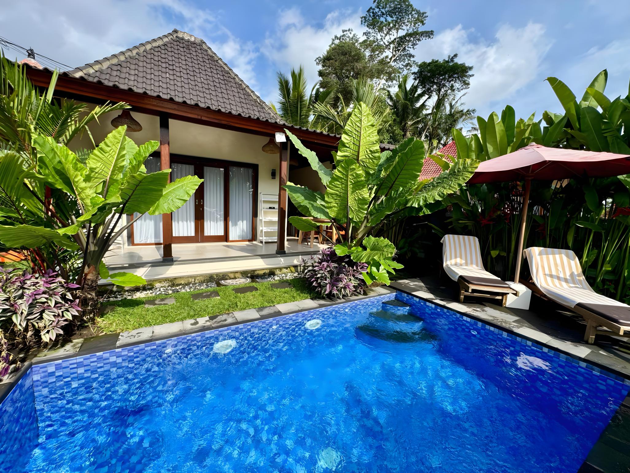 Дом, 1 спальня