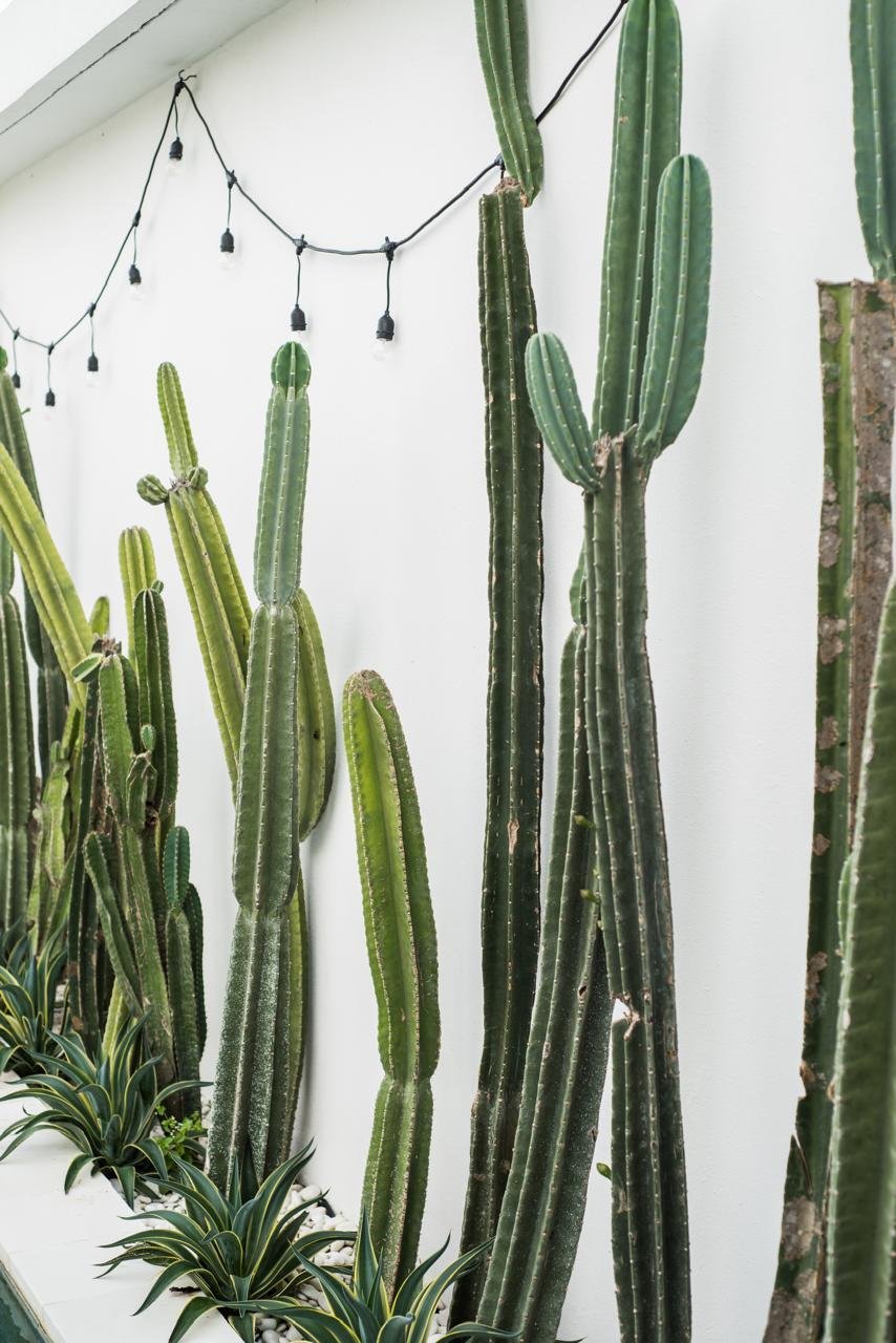 Вилла, 3 спальни