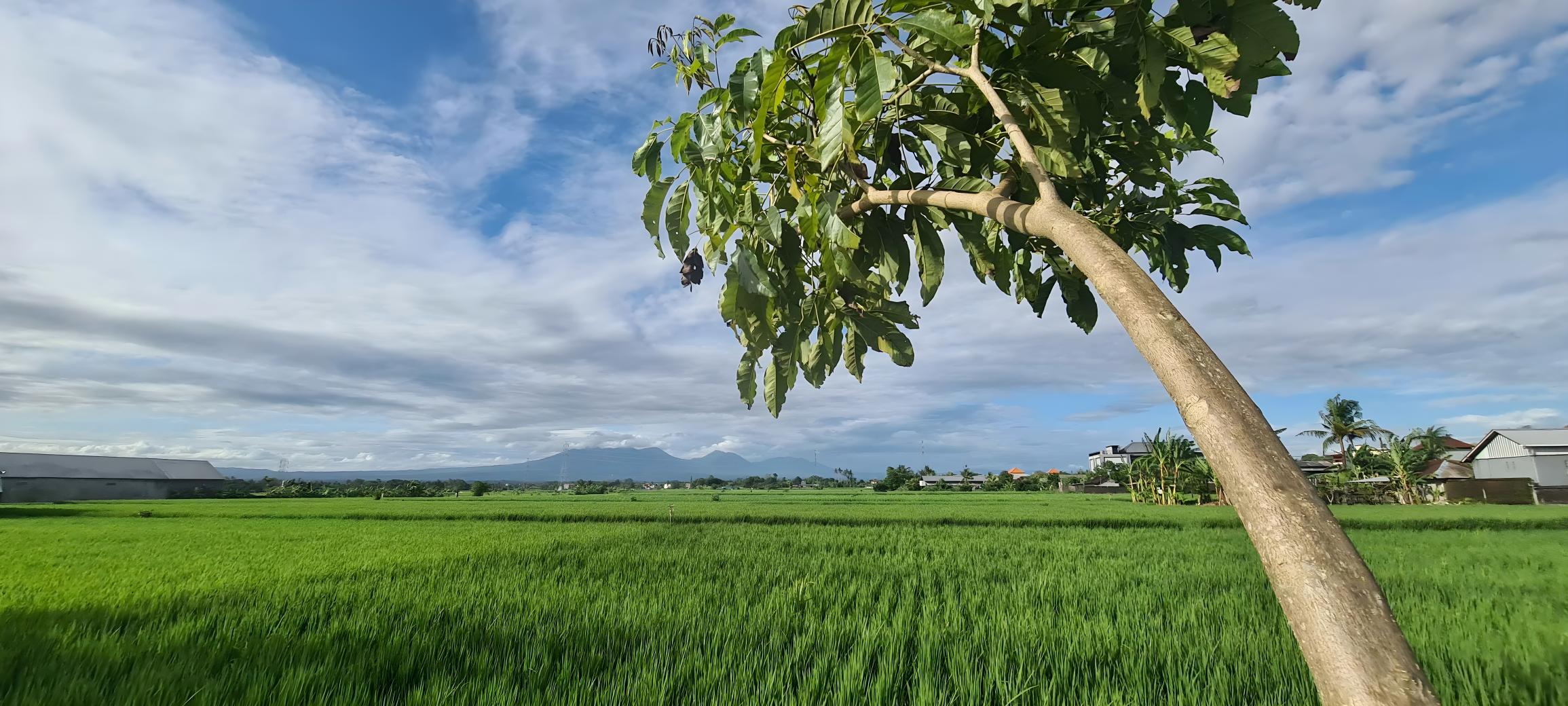 Апартаменты, 2 спальни