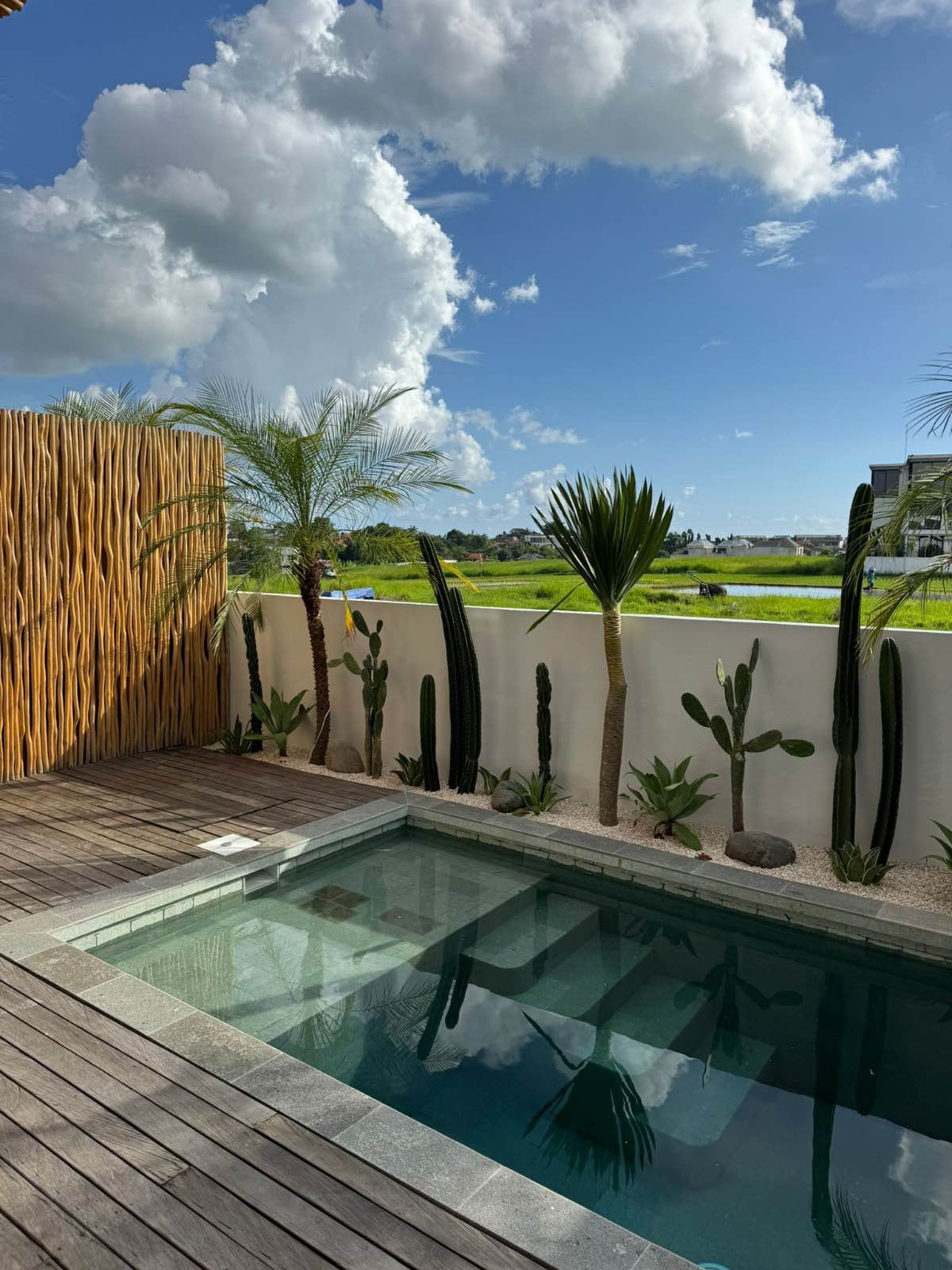 Апартаменты, 1 спальня