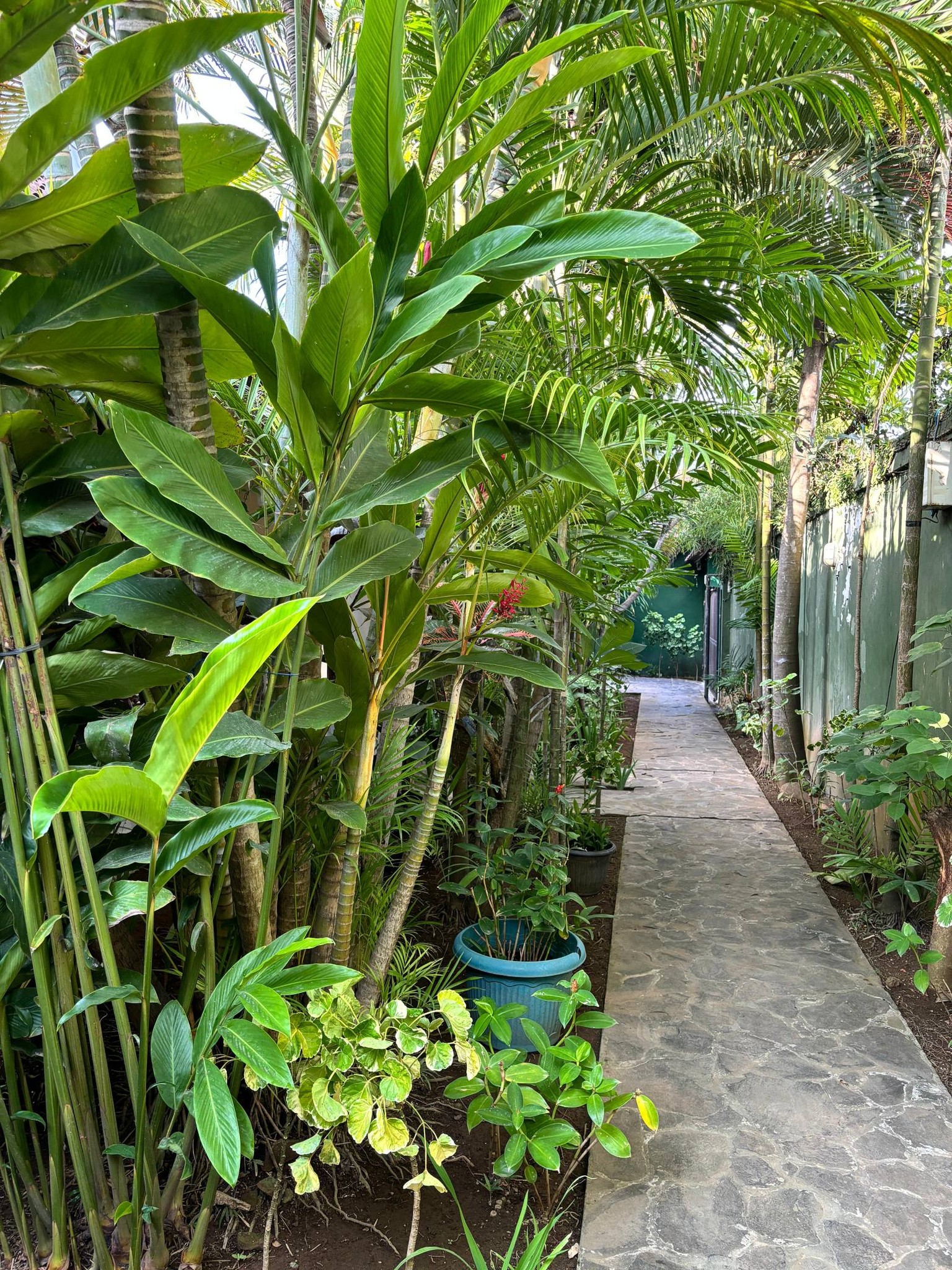 Апартаменты, 1 спальня