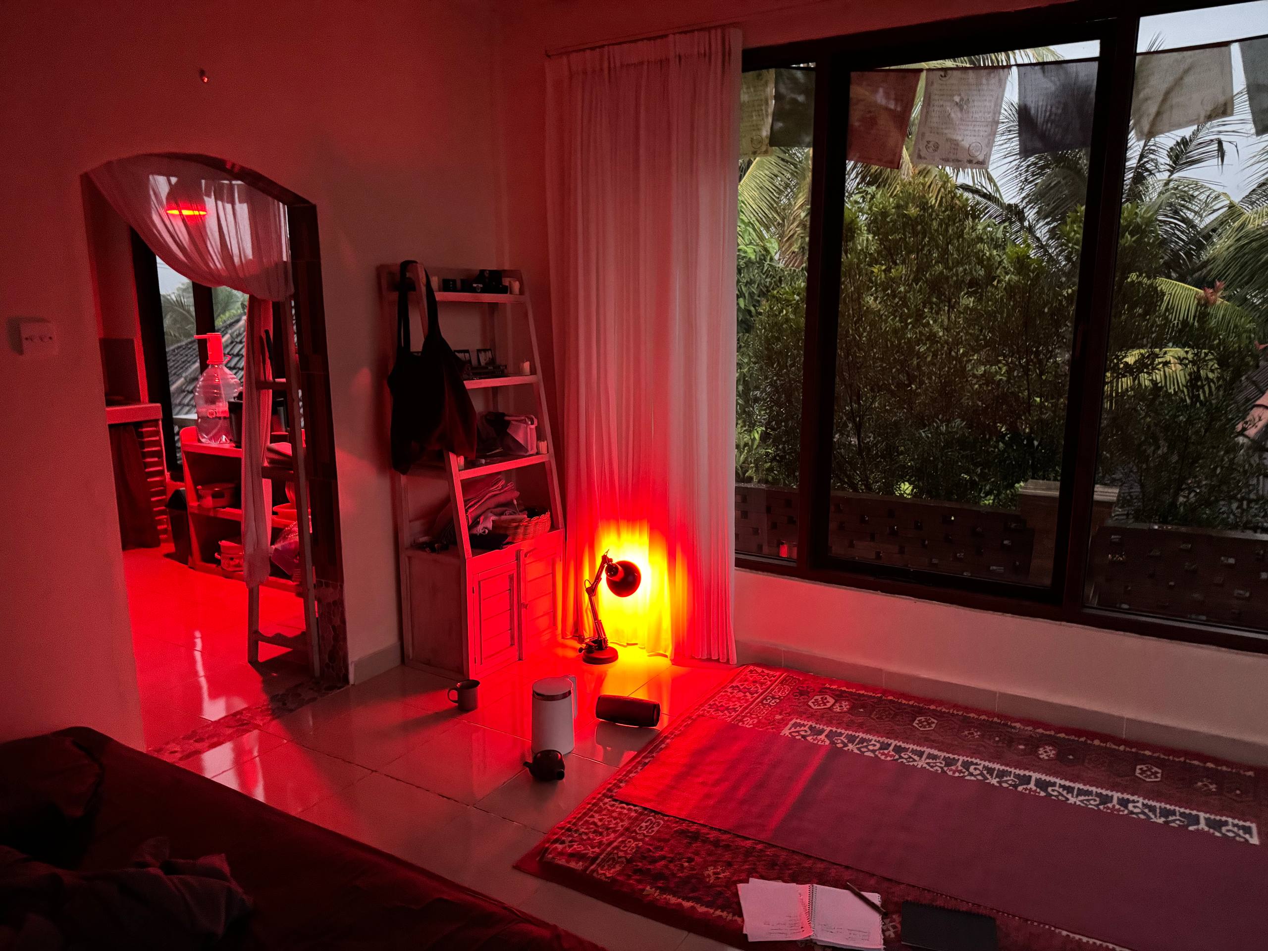 Апартаменты, 1 спальня