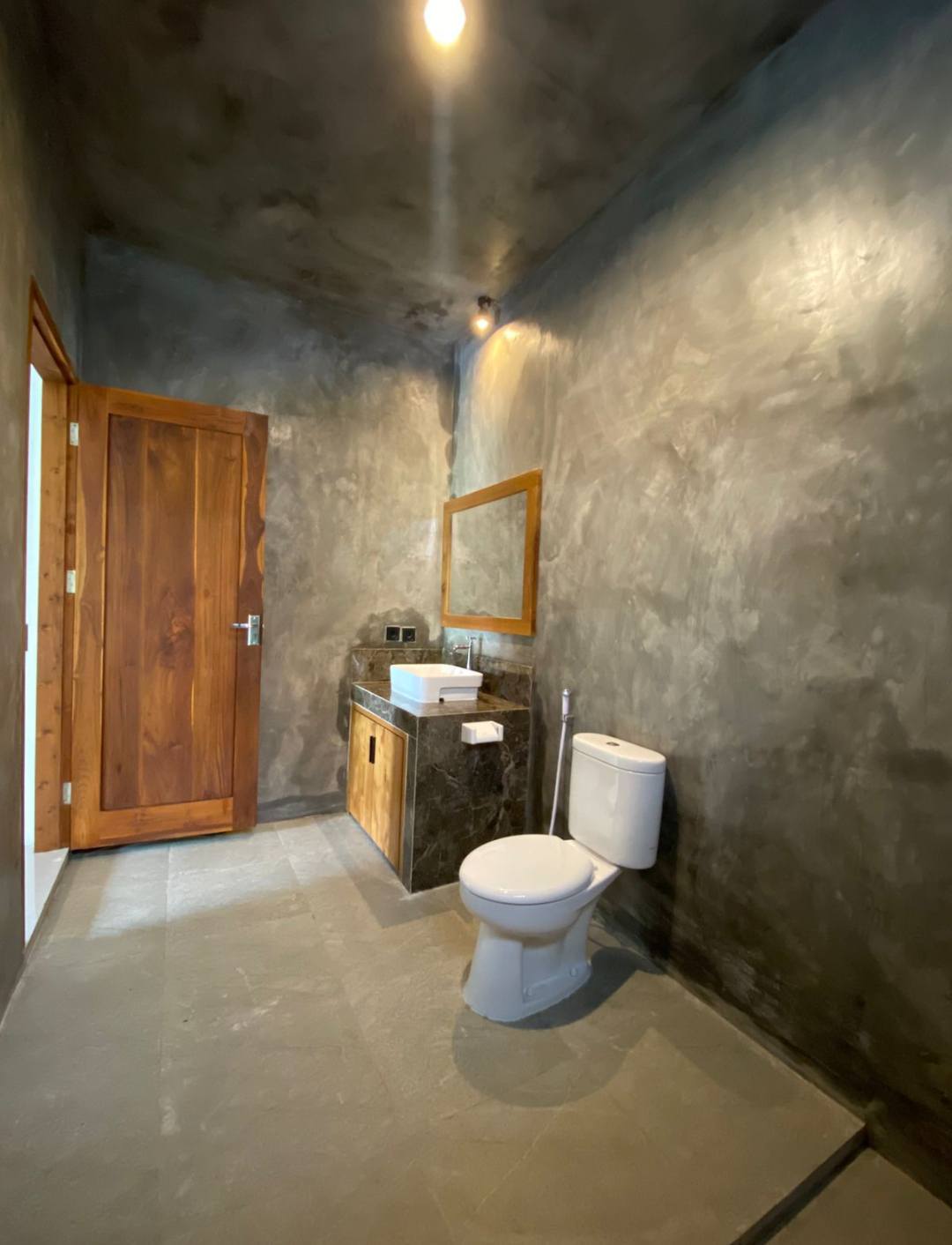 Апартаменты, 1 спальня