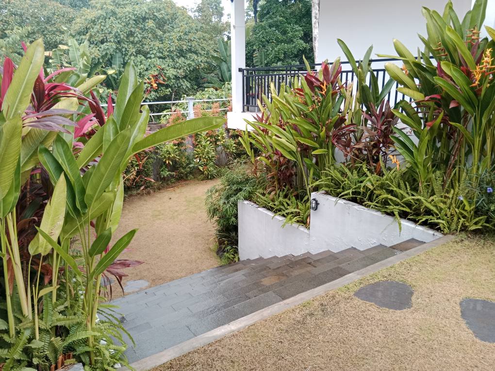 Гестхаус, 1 спальня