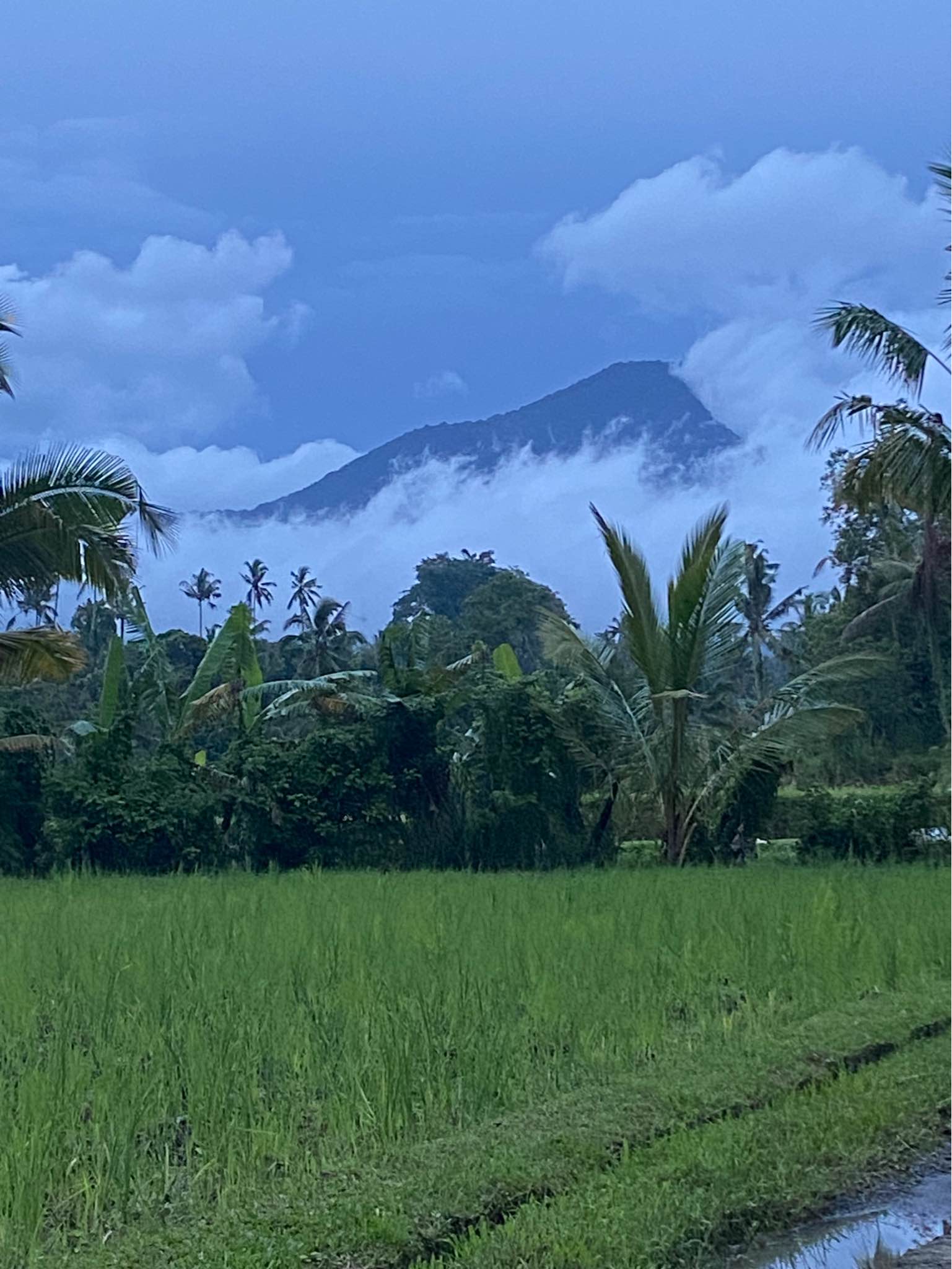 Дом, 1 спальня