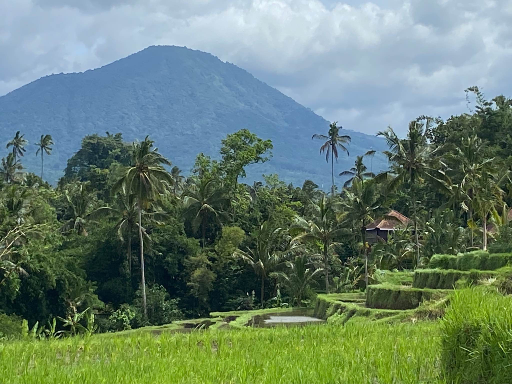 Дом, 1 спальня