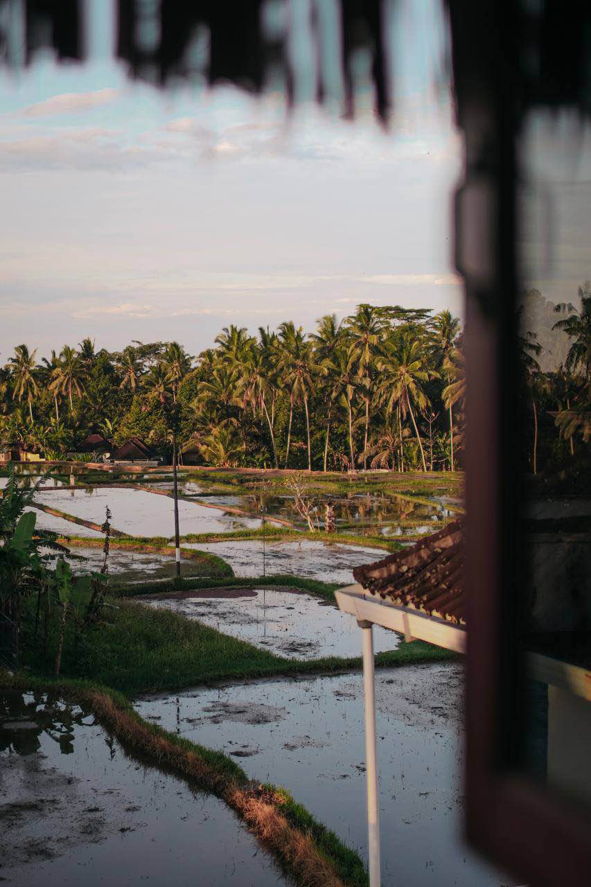 Апартаменты, 1 спальня