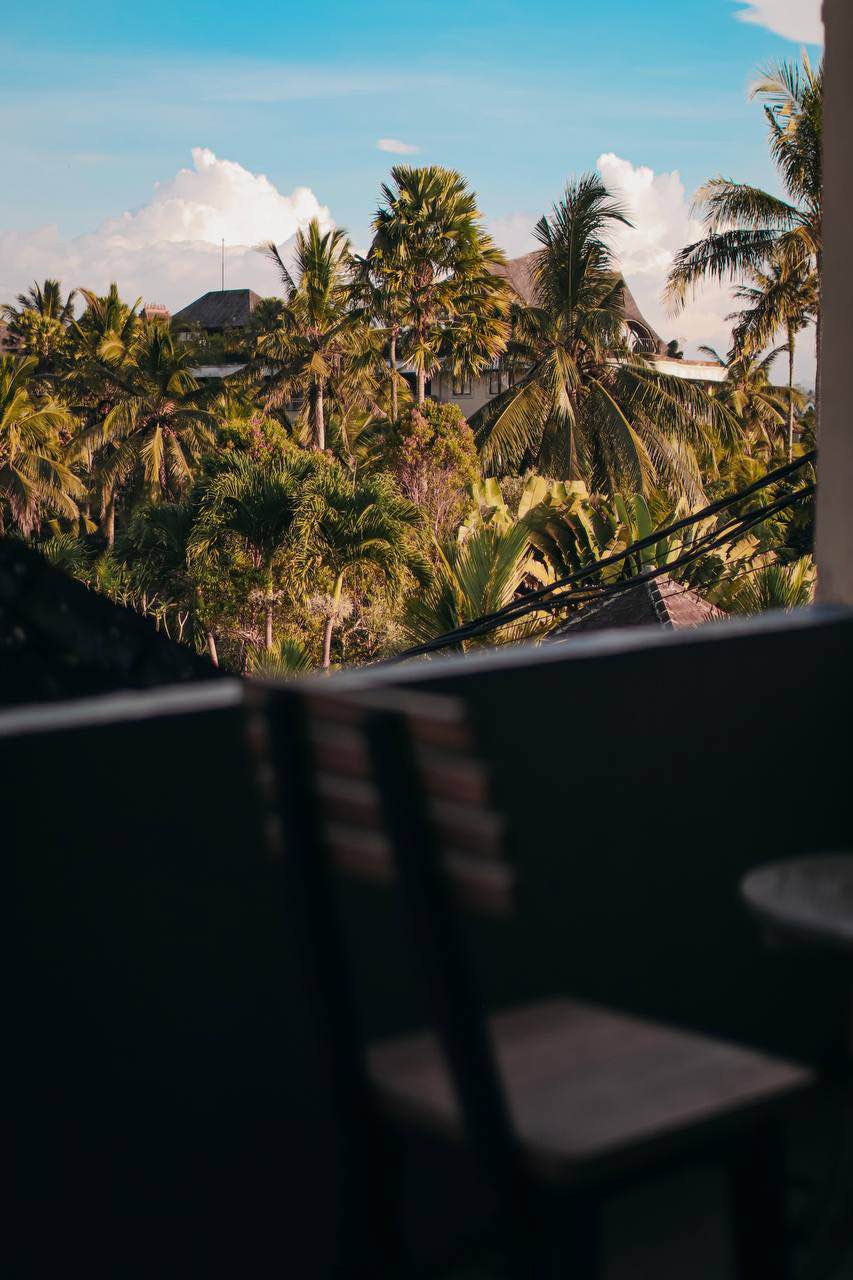 Апартаменты, 1 спальня