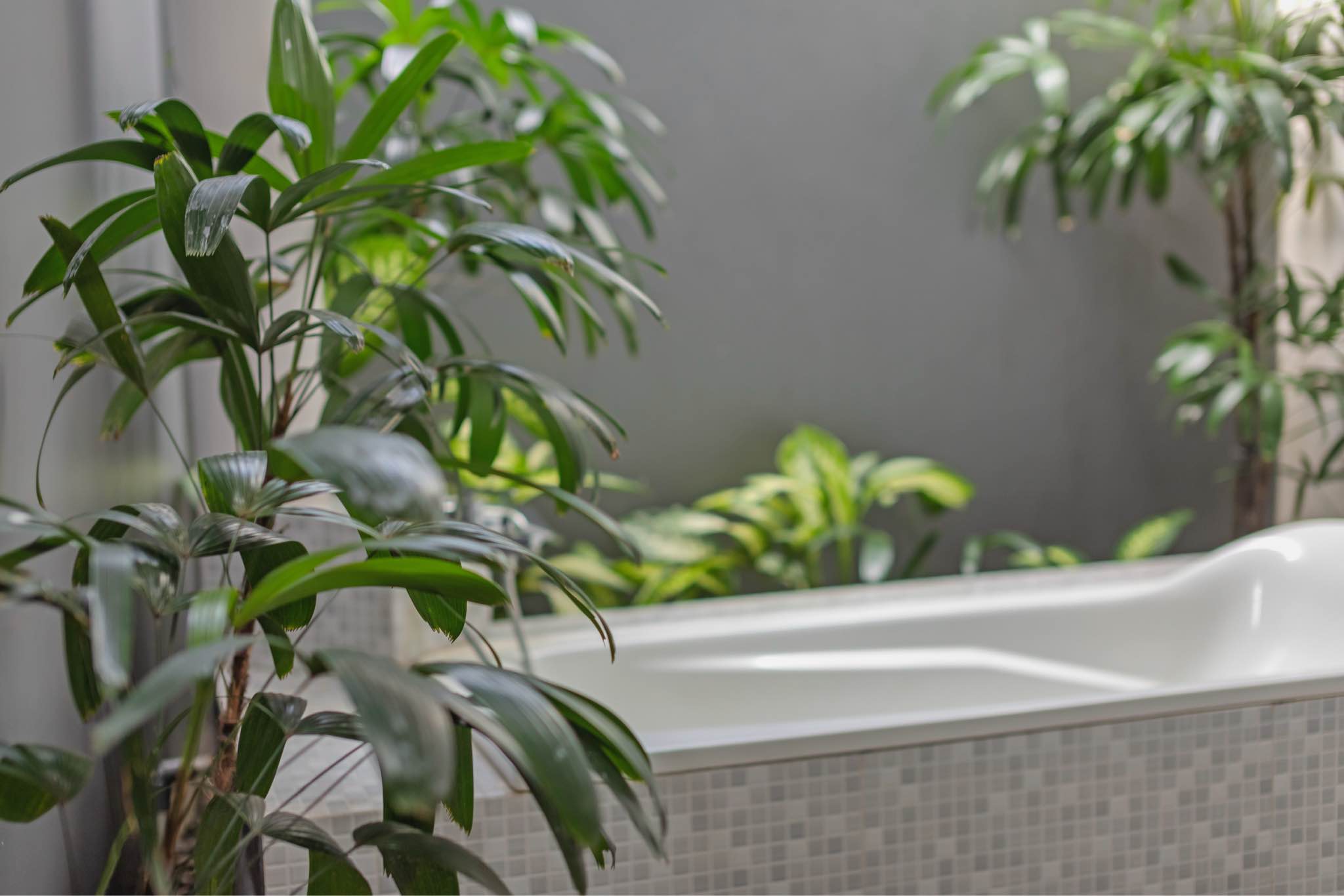 Вилла, 3 спальни