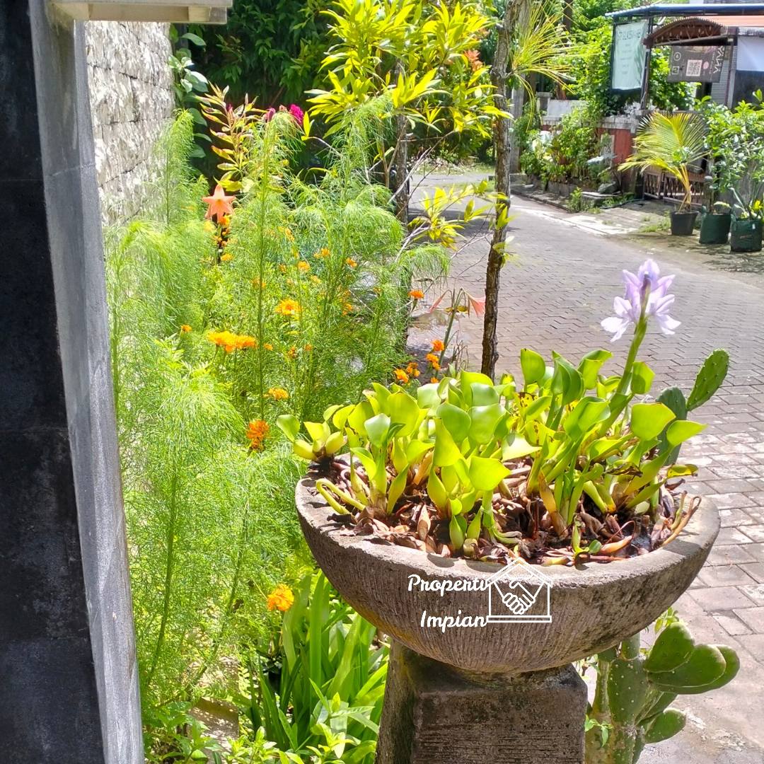 Вилла, 3 спальни