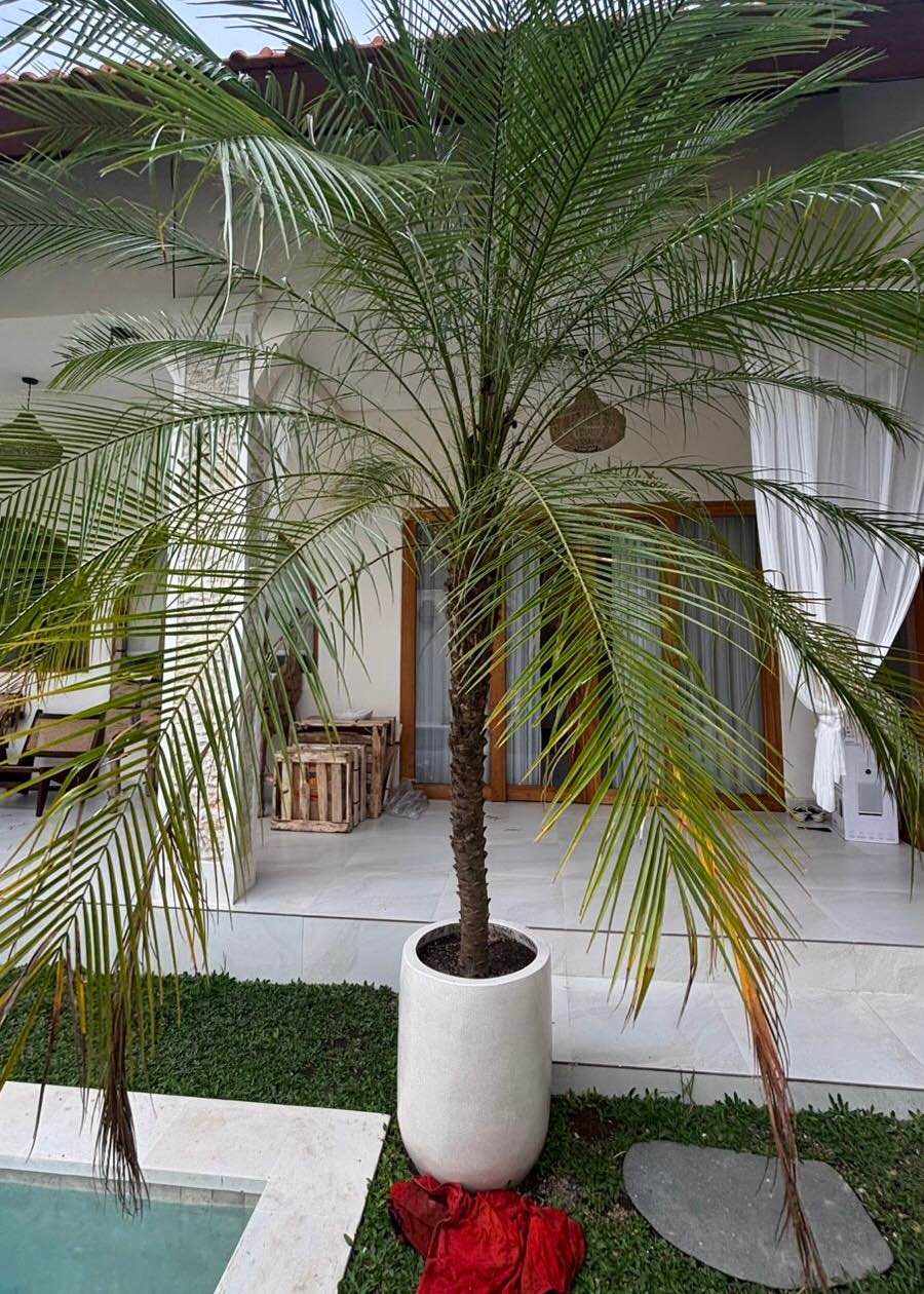 Вилла, 2 спальни