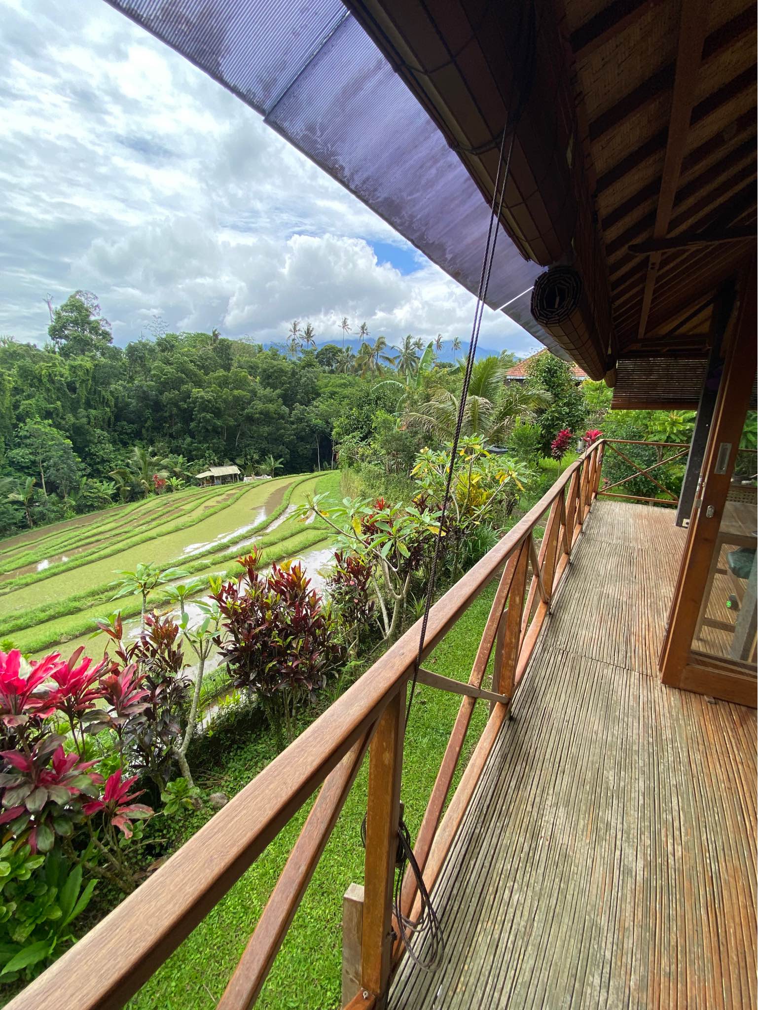 Дом, 1 спальня