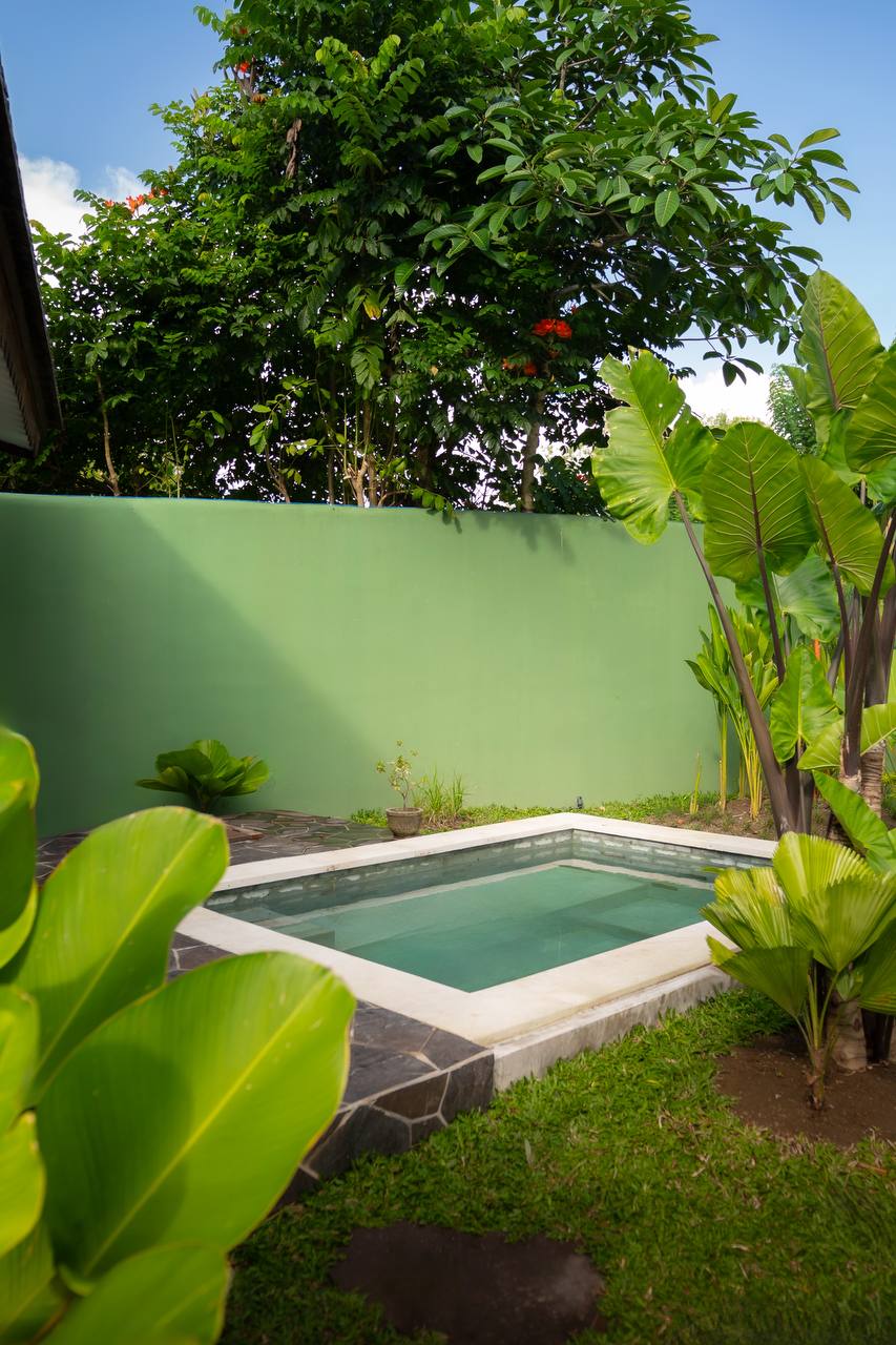 Дом, 1 спальня