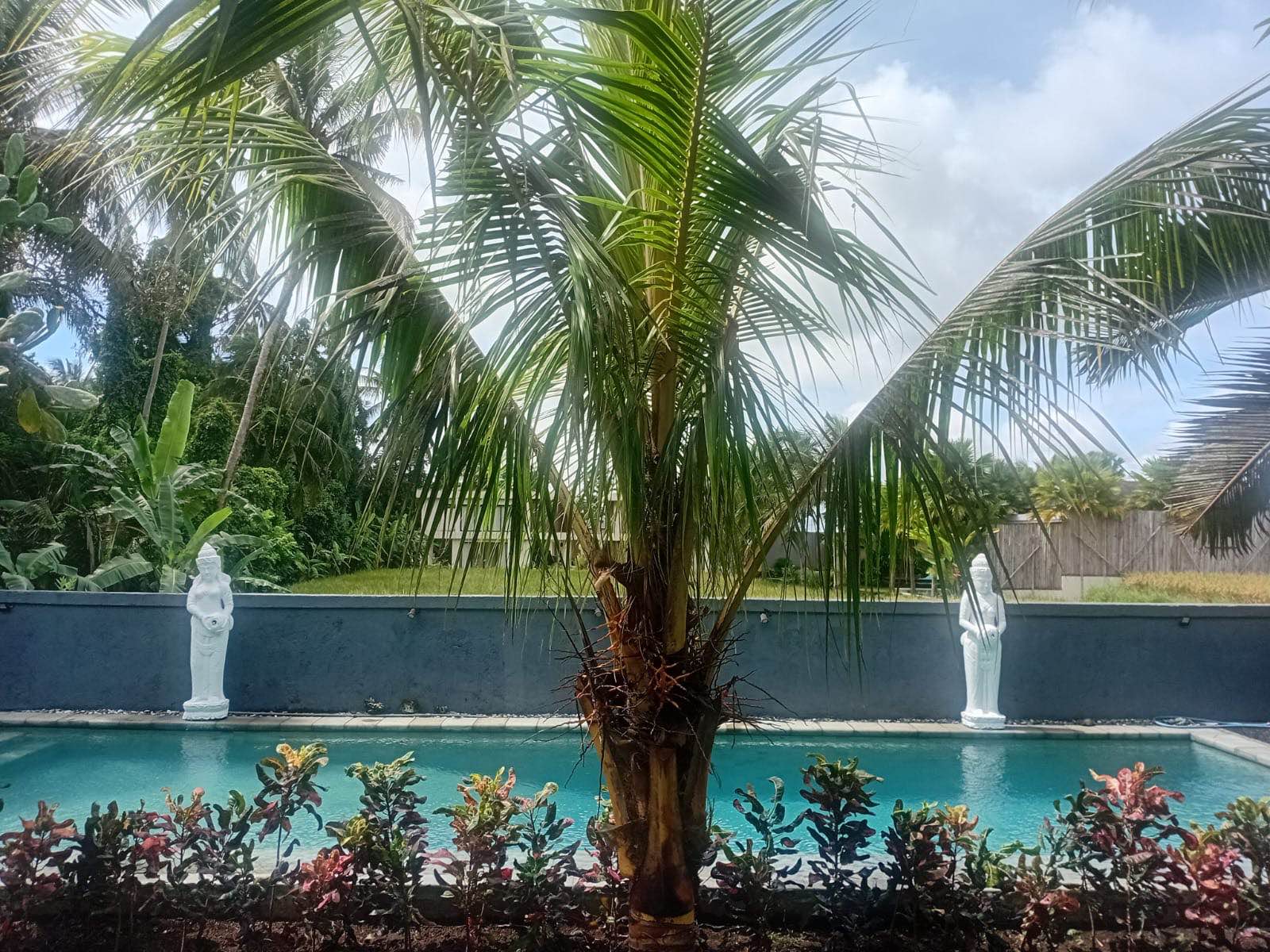 Дом, 1 спальня