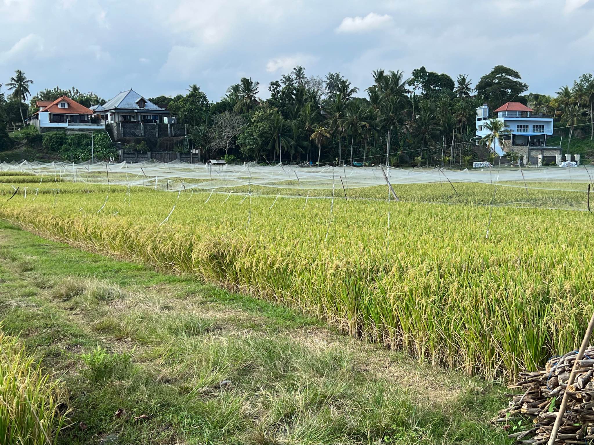 Дом, 3 спальни