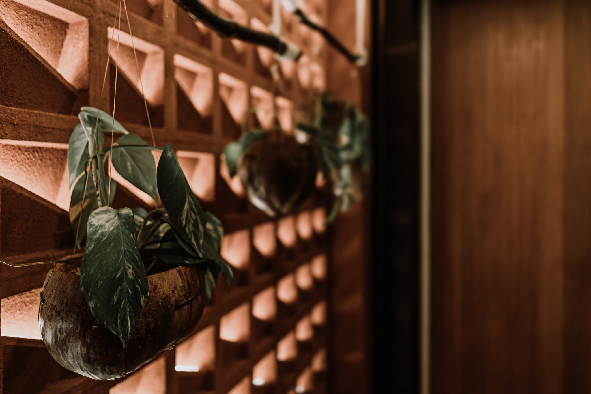 Апартаменты, 1 спальня