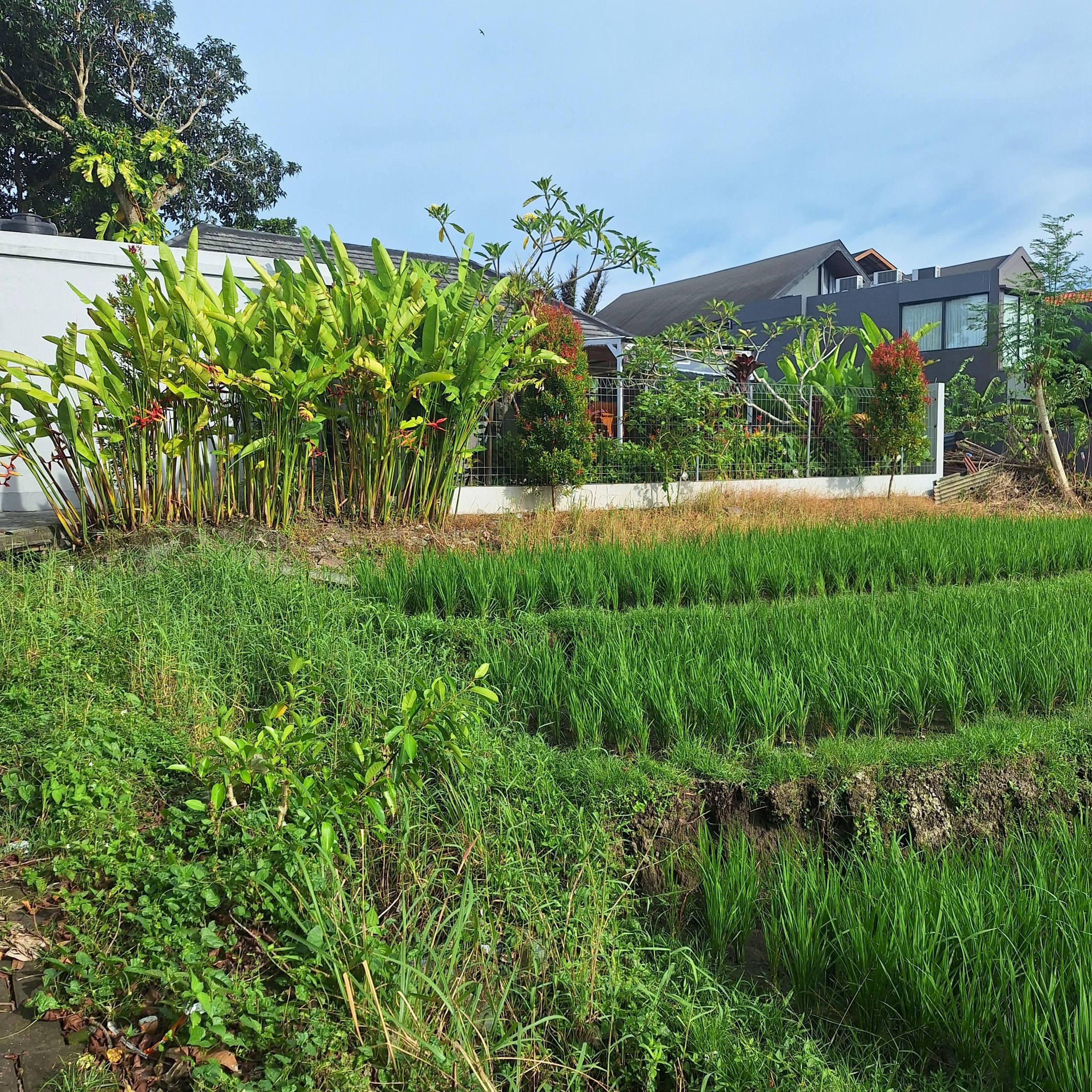 Вилла, 2 спальни