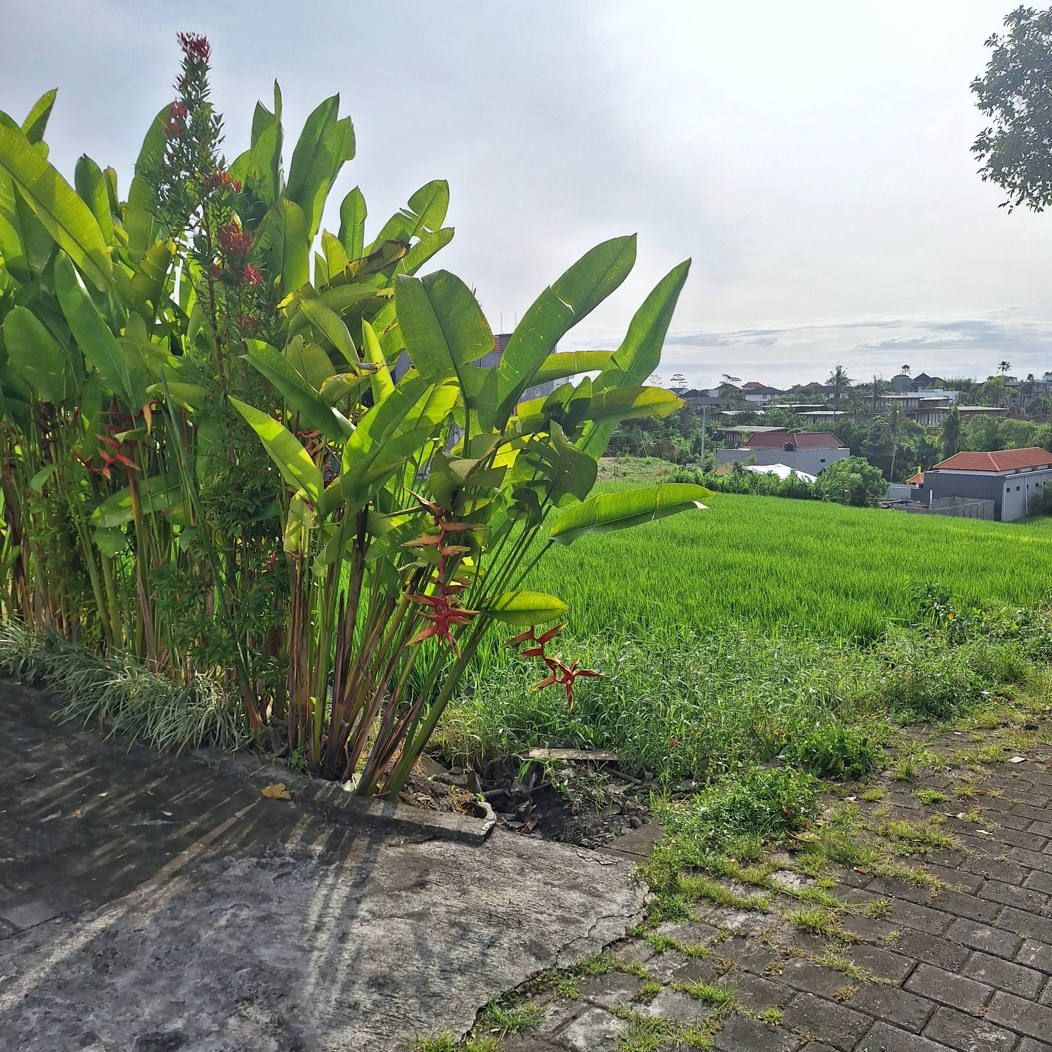 Вилла, 2 спальни