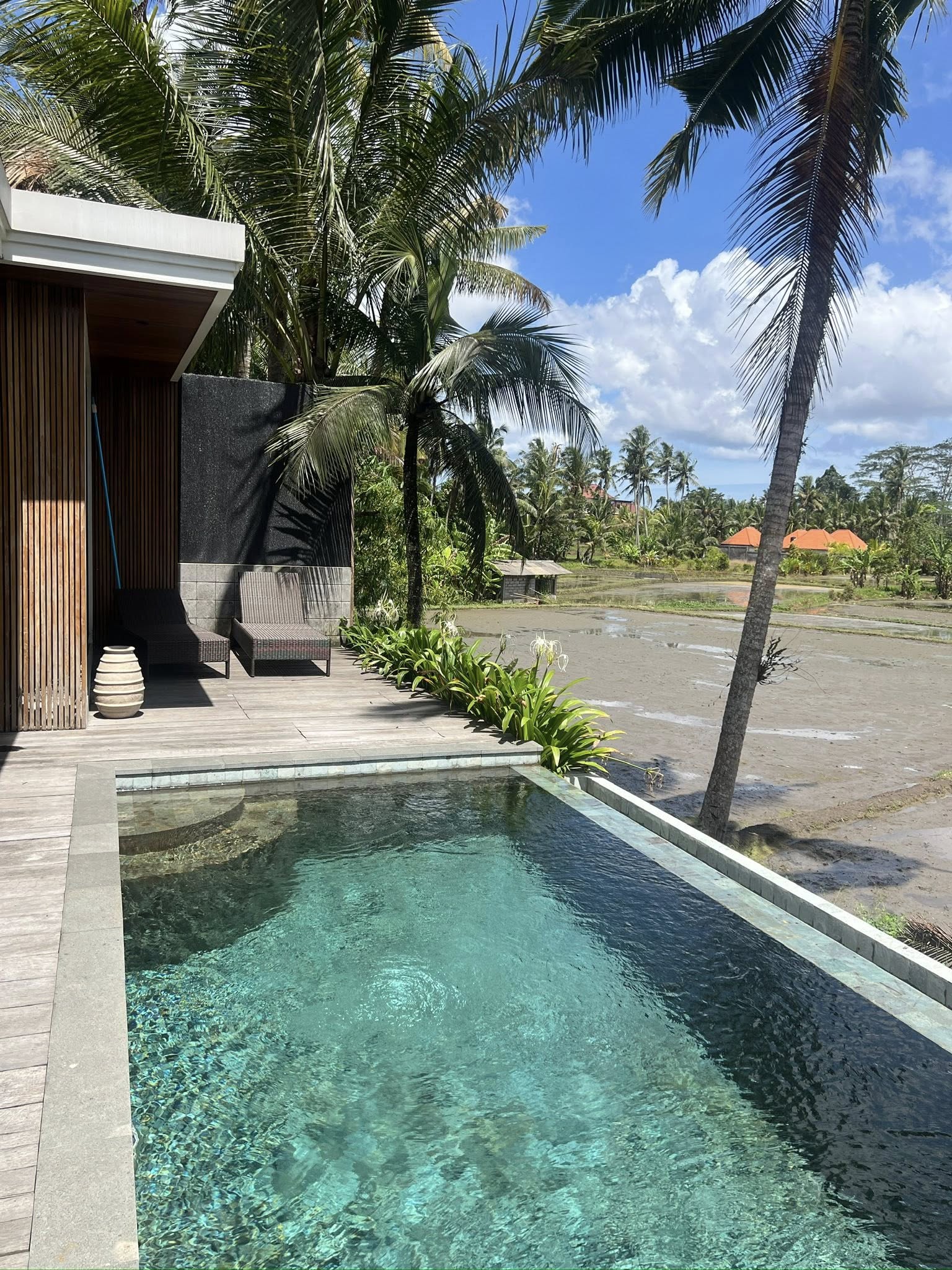 Вилла, 1 спальня