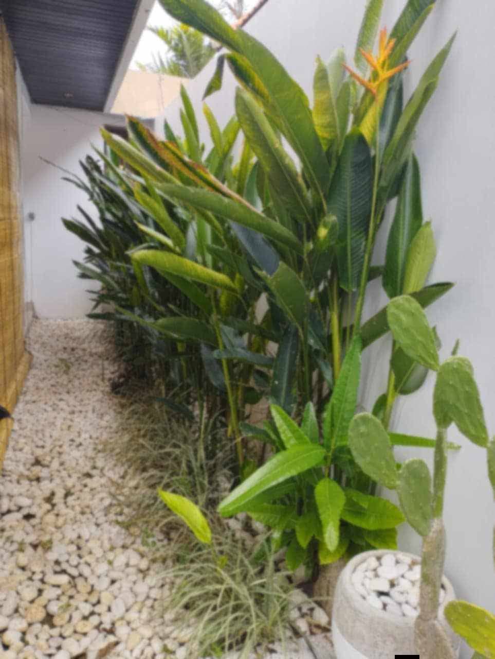 Вилла, 1 спальня