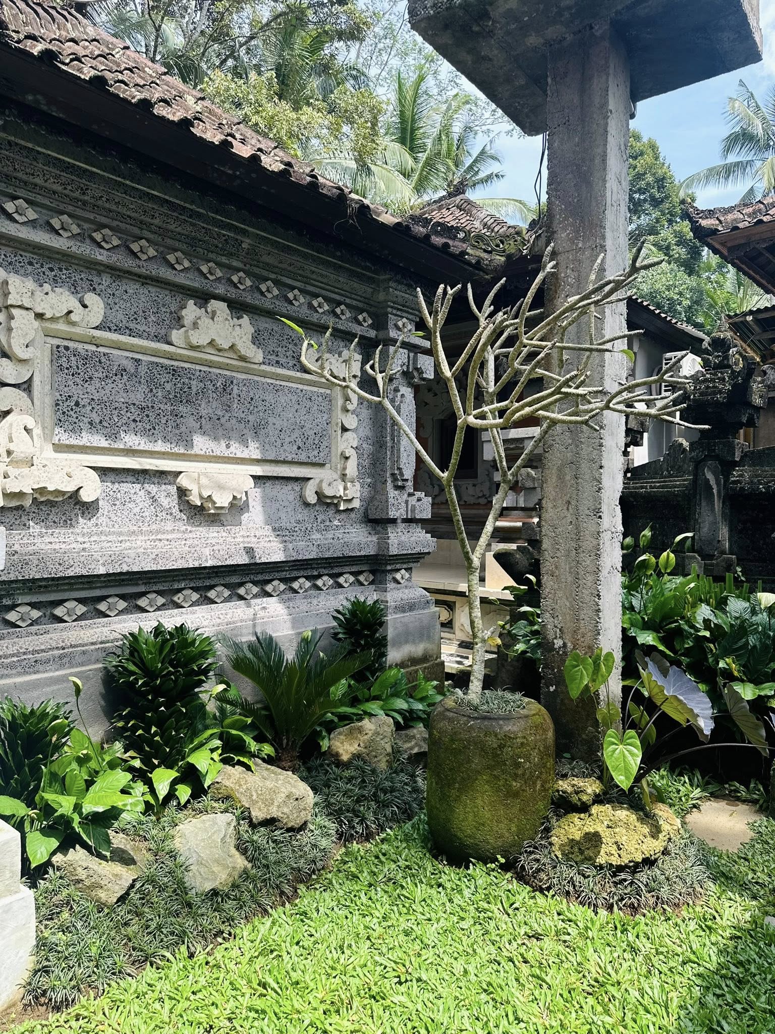 Гестхаус, 1 спальня