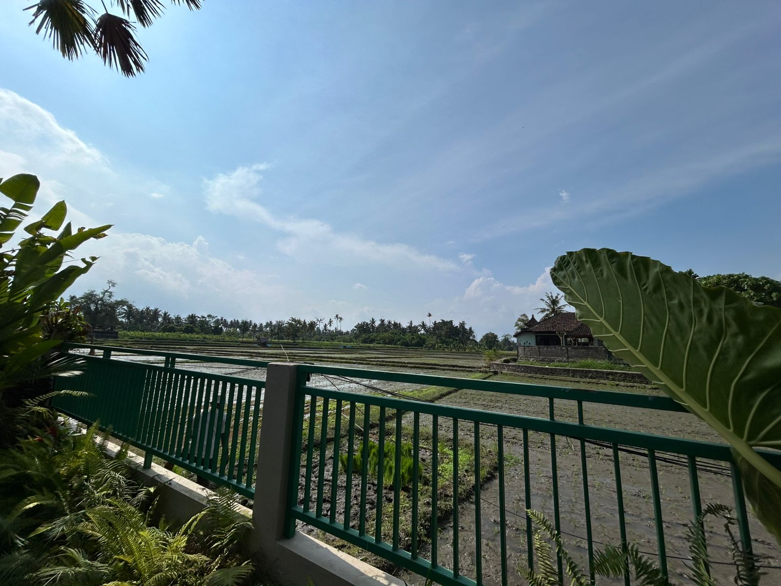 Вилла, 1 спальня