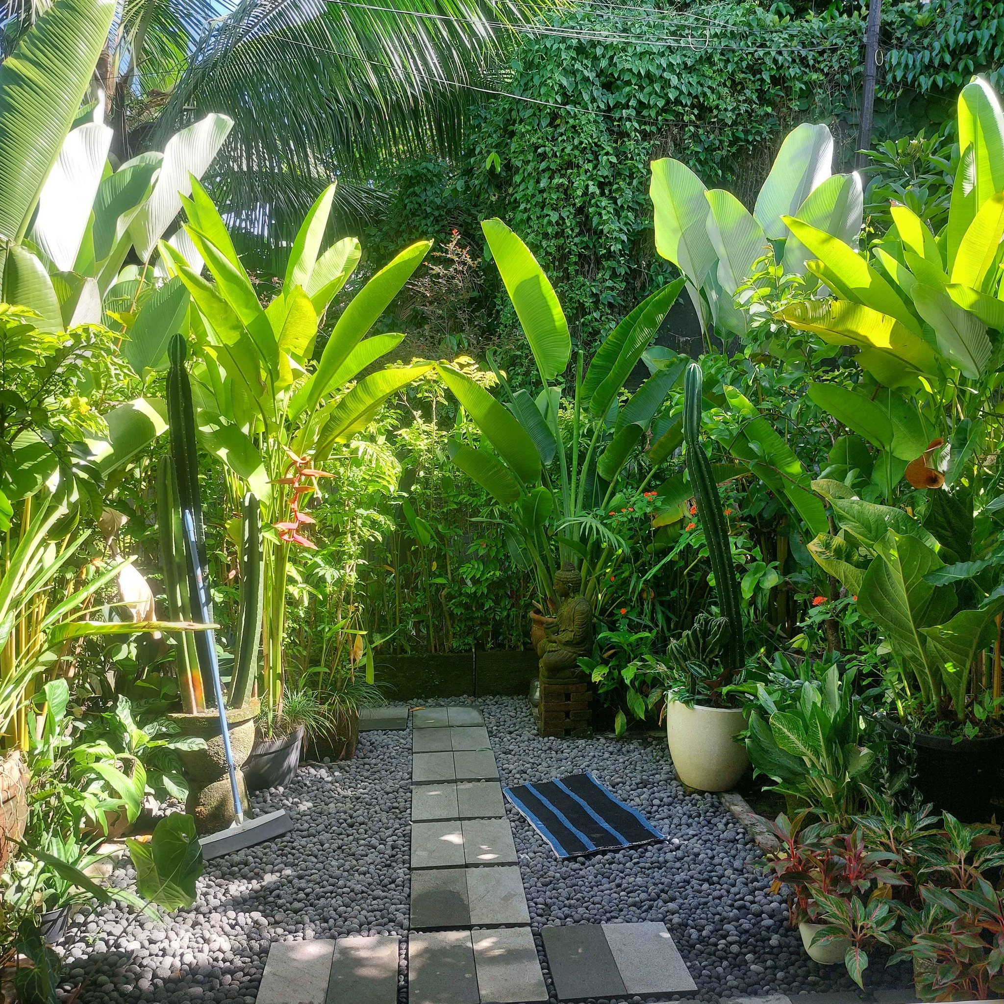 Апартаменты, 1 спальня