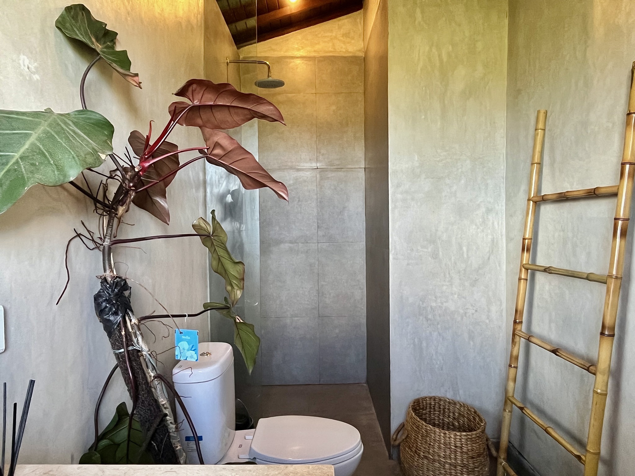 Дом, 1 спальня