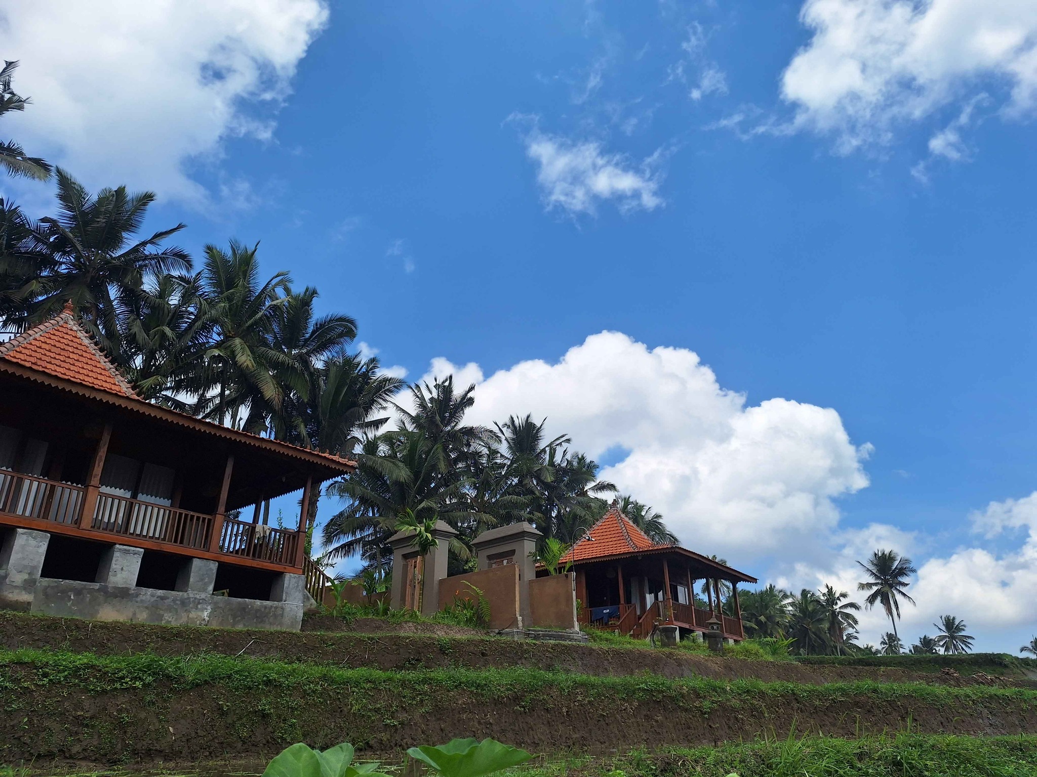 Вилла, 1 спальня