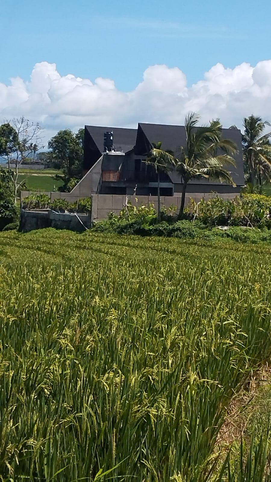 Вилла, 2 спальни