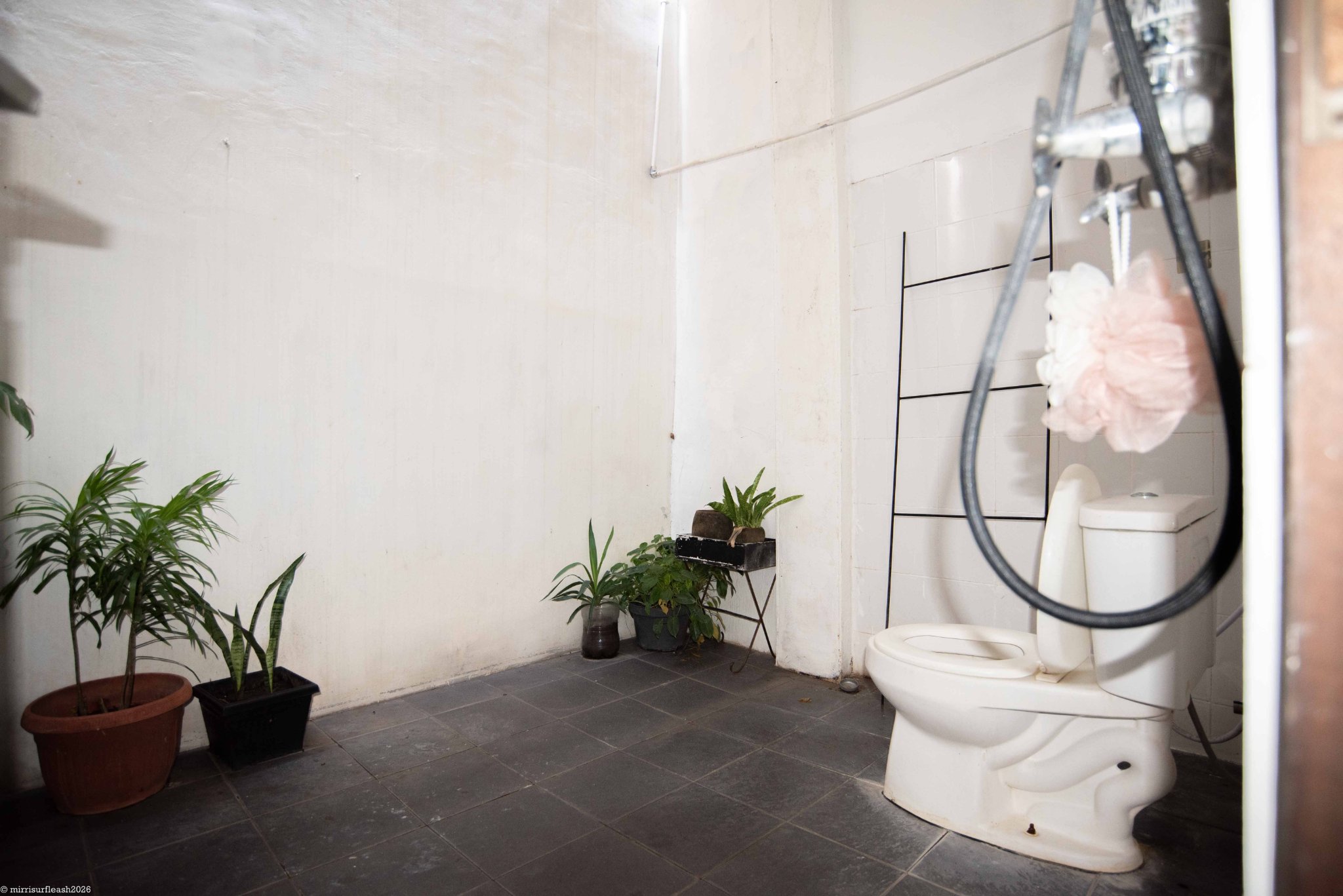 Апартаменты, 1 спальня